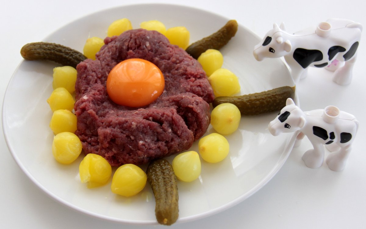 Tatar PaleoSMAK Tatar PaleoSMAK