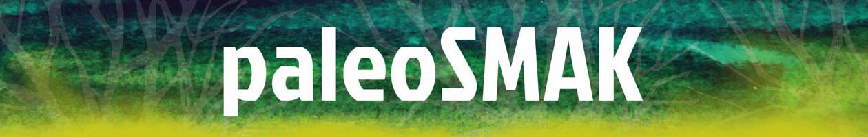 PaleoSMAK Dieta Paleo Po Polsku Dla Dzieci I Doros ych PaleoSMAK Dieta Paleo Po Polsku Dla Dzieci I Doros ych