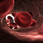 Anemia - fakty i mity