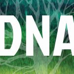 Badania DNA