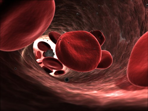 Anemia, Paleo SMAK